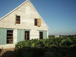 Cuba Redesigns Tobacco Collector Houses